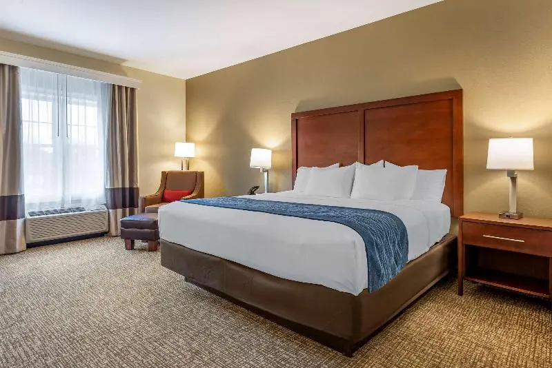 キングサイズベッドのスタンダードルーム, Comfort Inn