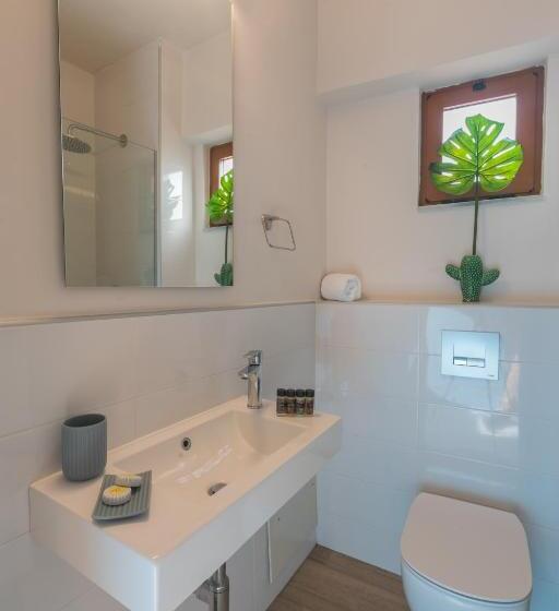 סטודיו סטנדרט נוף לים, Aristea