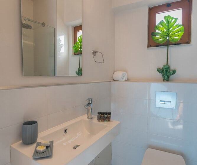 סטודיו סופריור, Aristea