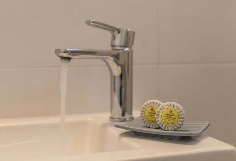 דירת חדר סופריור, Aristea