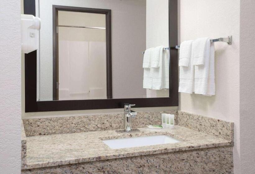 סטודיו דלוקס, Americinn By Wyndham Mount Pleasant