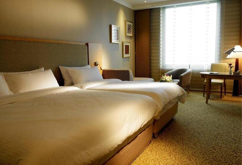 스탠다드 룸, Daegu Grand