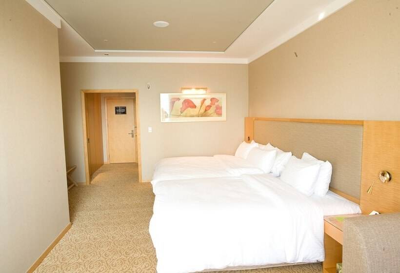 스탠다드 룸, Daegu Grand