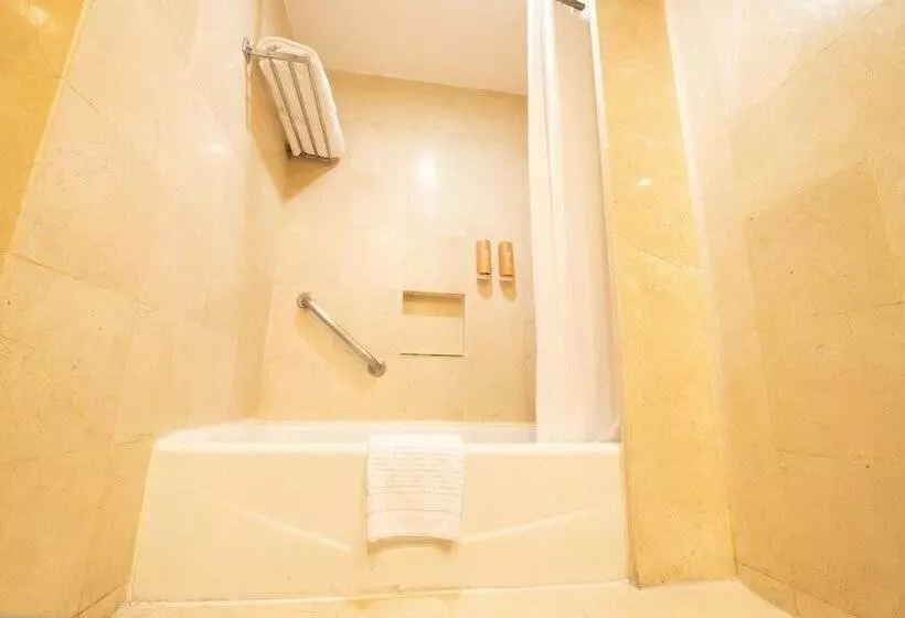 اتاق سوپریور با تخت دو نفره بزرگ, Emporio Acapulco