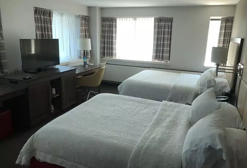 اتاق استاندارد با 2 تخت دوبل, Hampton Inn & Suites Milwaukee Downtown