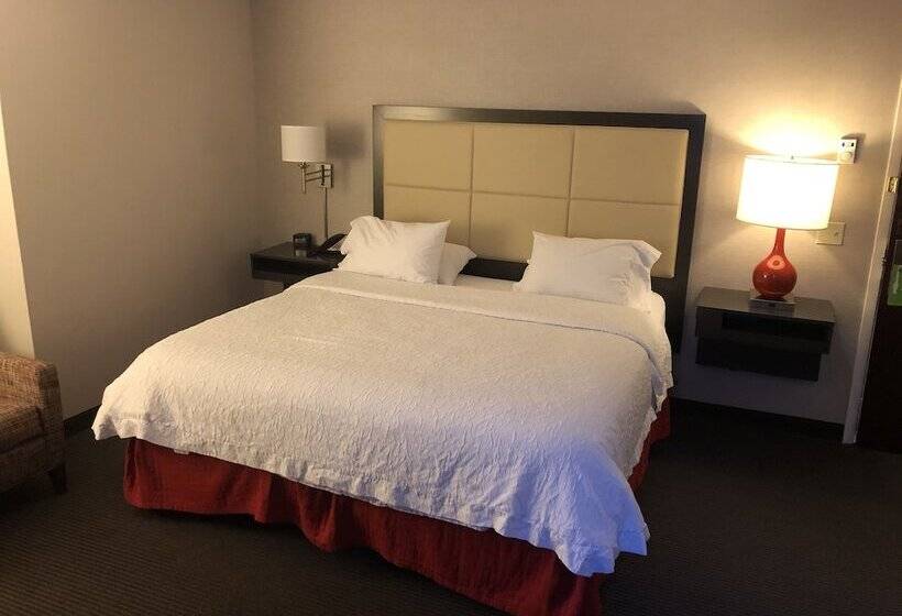 סוויטה, Hampton Inn & Suites Milwaukee Downtown