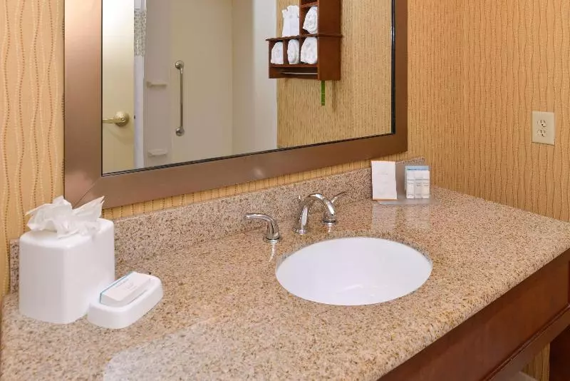 キングサイズベッドのスイートルーム, Hampton Inn College Park