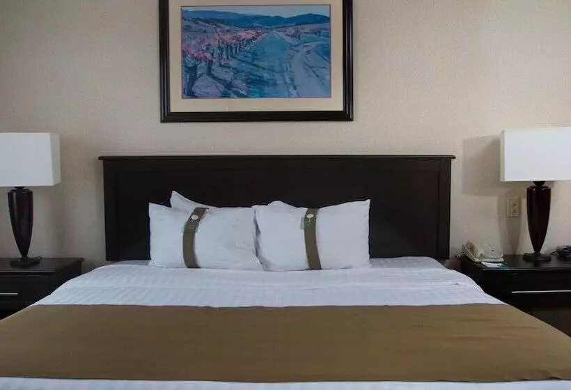 اتاق استاندارد, Holiday Inn Matamoros, An Ihg