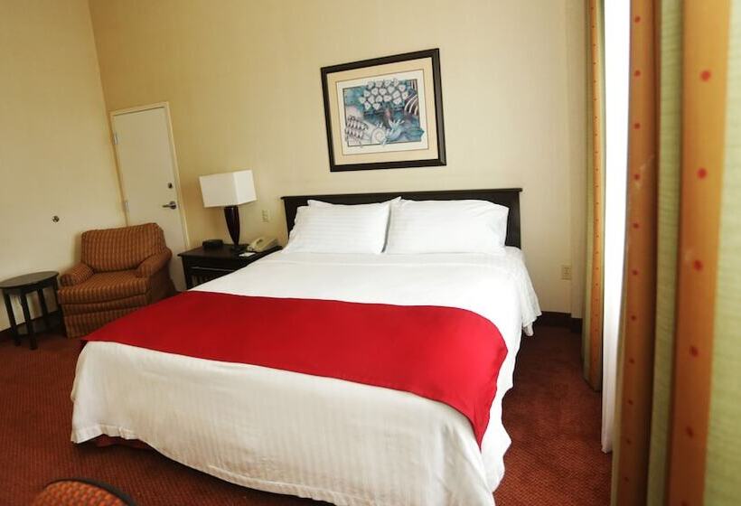 标准间, Holiday Inn Matamoros, An Ihg