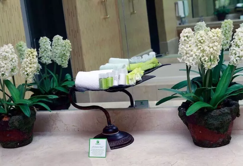 سوییت, Holiday Inn Matamoros, An Ihg