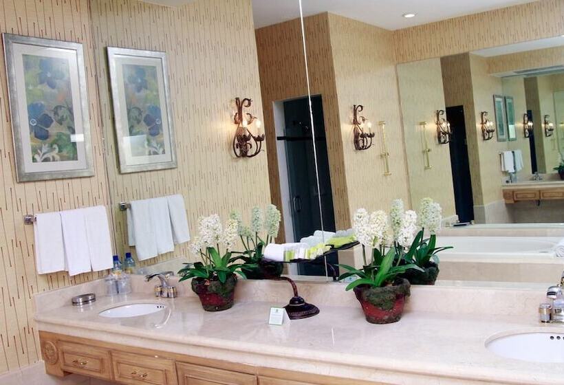 套房, Holiday Inn Matamoros, An Ihg