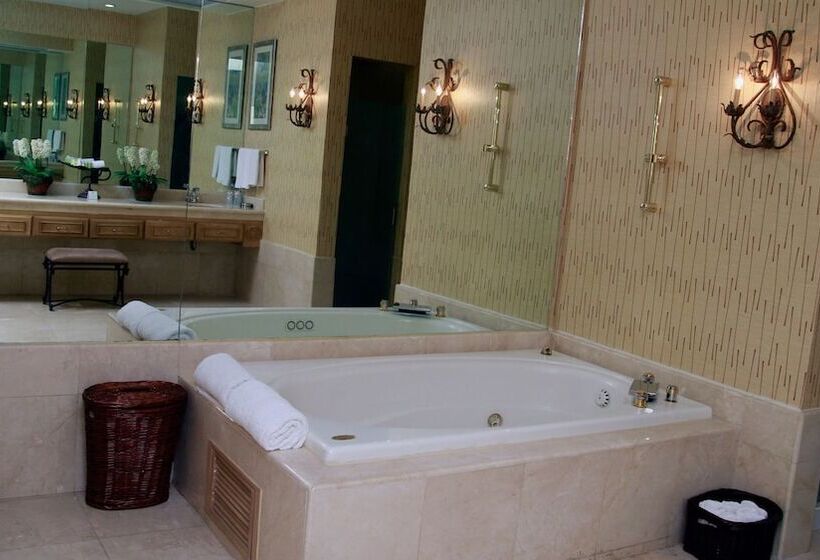 套房, Holiday Inn Matamoros, An Ihg