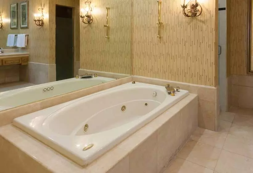 سوییت, Holiday Inn Matamoros, An Ihg