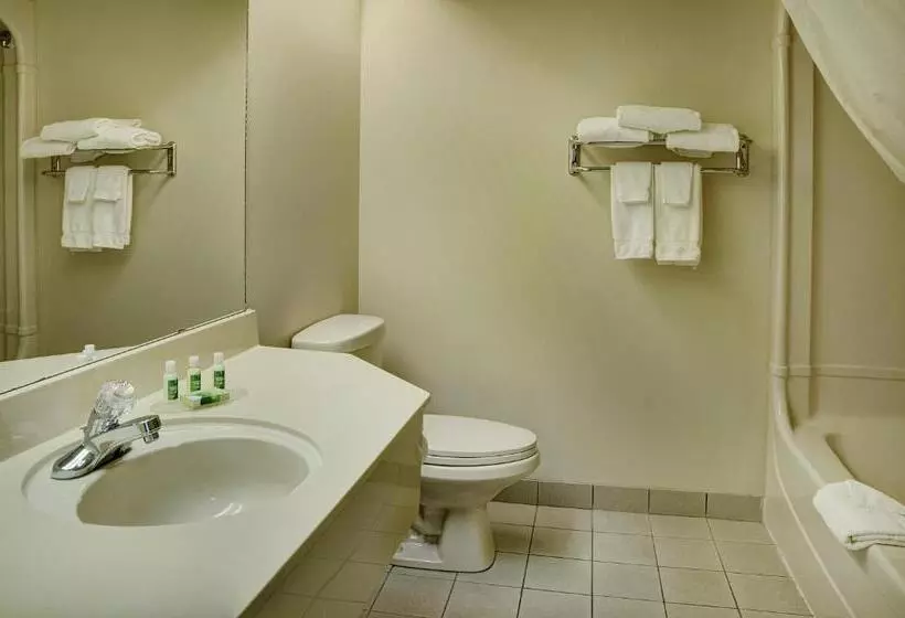 Standard-huone, Lakeview Inns & Suites  Brandon