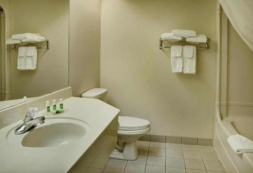 Люкс, Lakeview Inns & Suites  Brandon