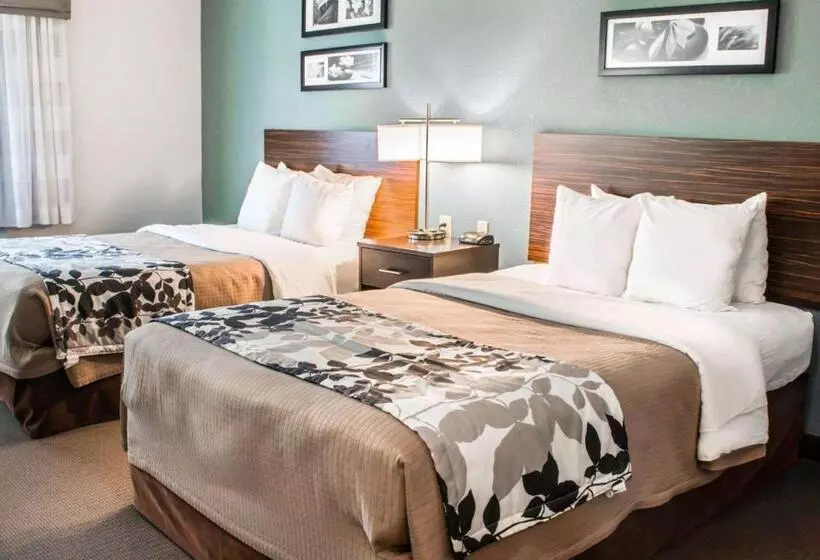 اتاق استاندارد با 2 تخت دوبل, Sleep Inn & Suites Monticello