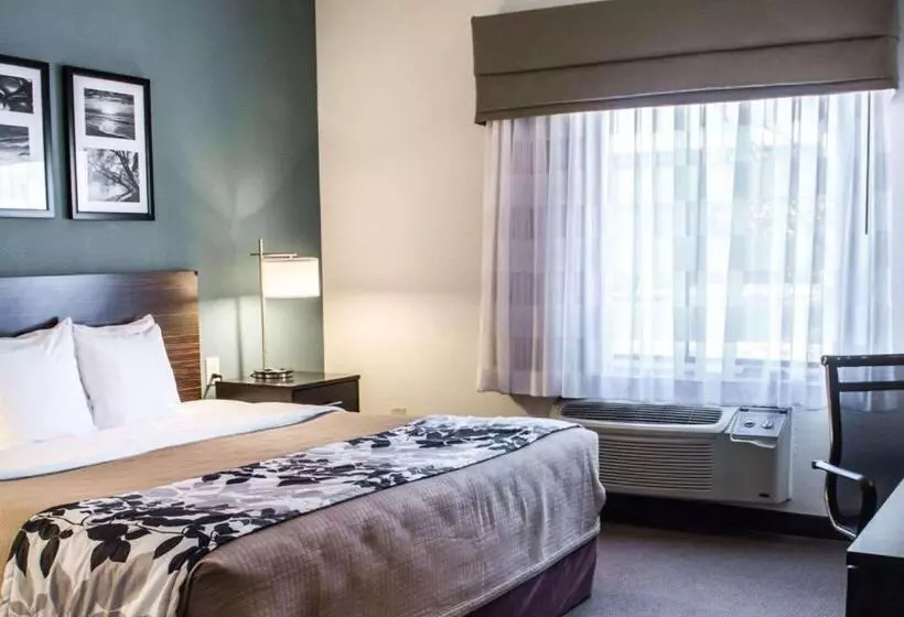 اتاق استاندارد با تخت بزرگ, Sleep Inn & Suites Monticello