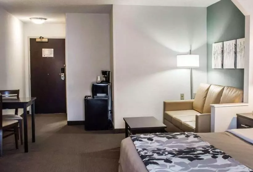 سوئیت با تخت بزرگ, Sleep Inn & Suites Monticello