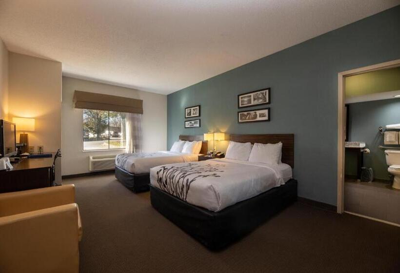 חדר סטנדרט מותאם לאדם עם מוגבלויות, Sleep Inn & Suites Monticello
