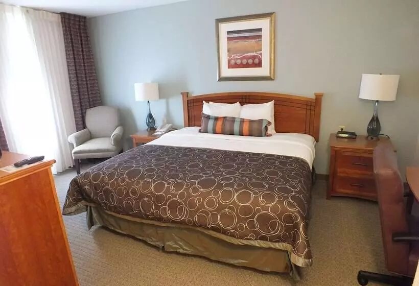 استودیوی استاندارد با تخت دوبل, Sonesta Es Suites Toronto Markham