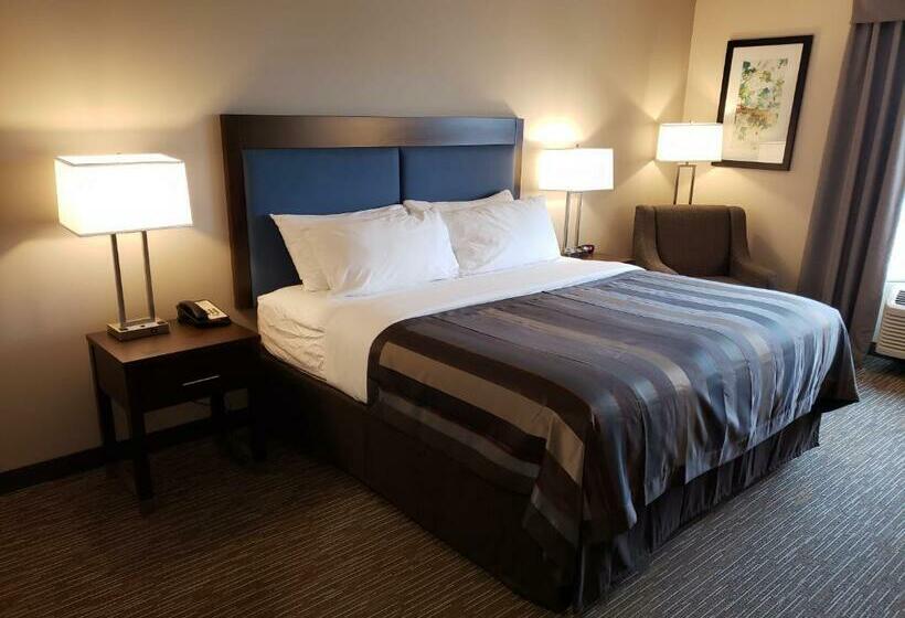 스탠다드 룸 킹사이즈 침대, Wingate By Wyndham Christiansburg