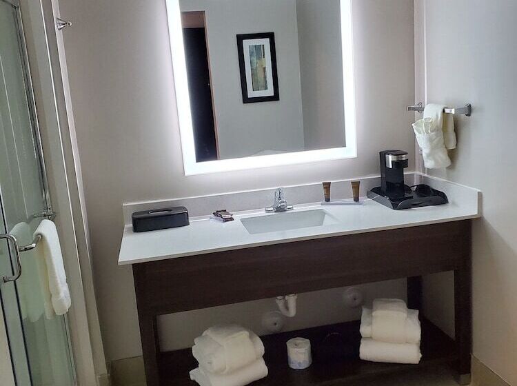 장애인용 디럭스룸, Wingate By Wyndham Christiansburg