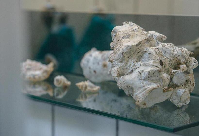 Номер Стандарт, Nordstern Restaurant & Pension