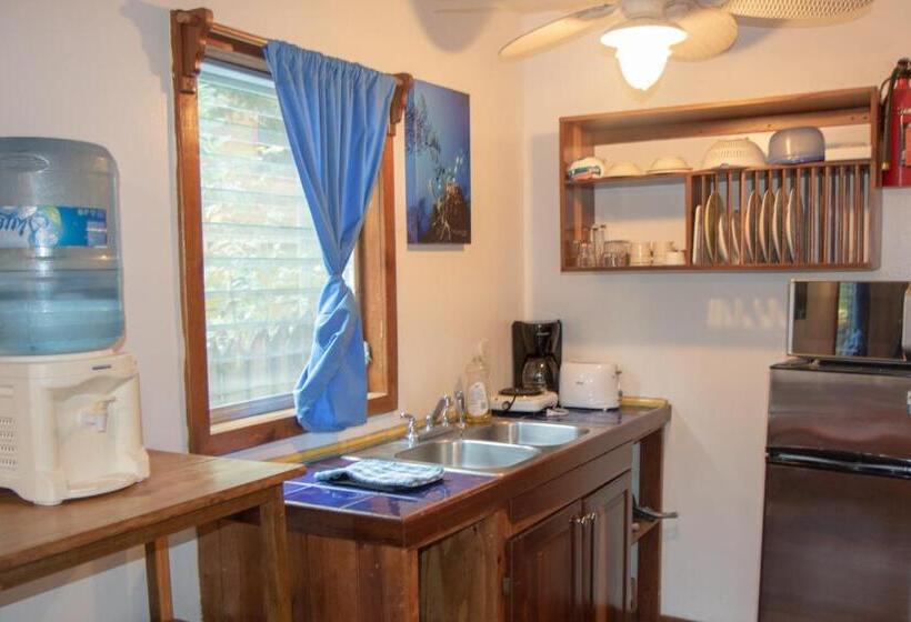 استودیو استاندارد با بالکن, Seabreeze Inn