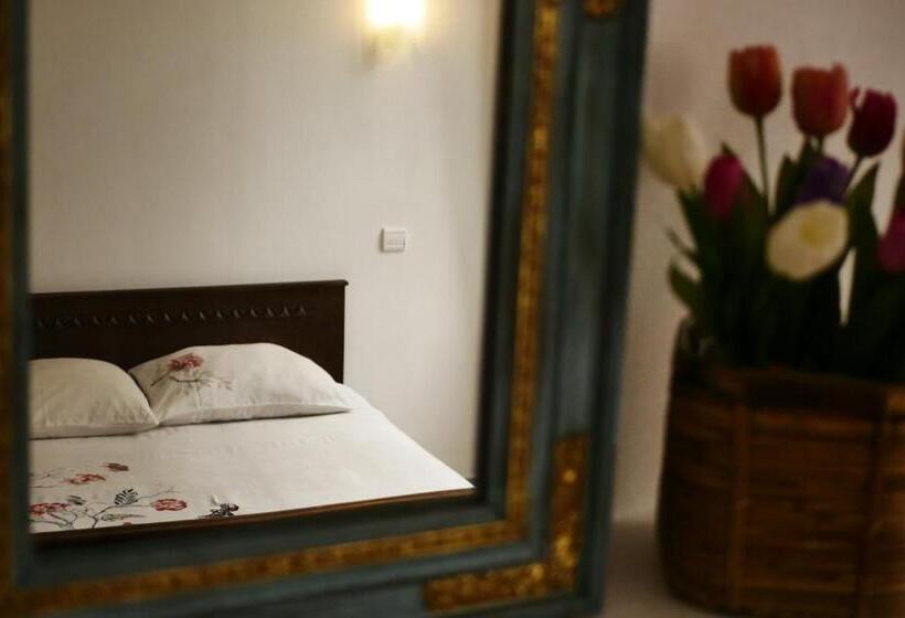 스탠다드 룸, Les Oiseaux De Passage