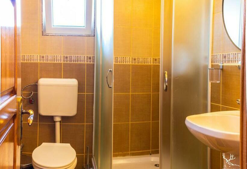 Quarto Estandar, Pensiunea Lin Cota 1000