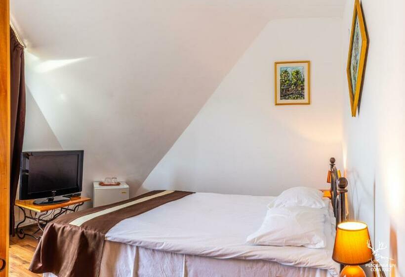 Quarto Estandar, Pensiunea Lin Cota 1000