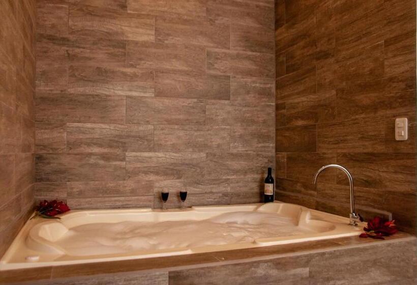 스탠다드 룸 킹사이즈 침대, Toucan Platinum Suites Apart