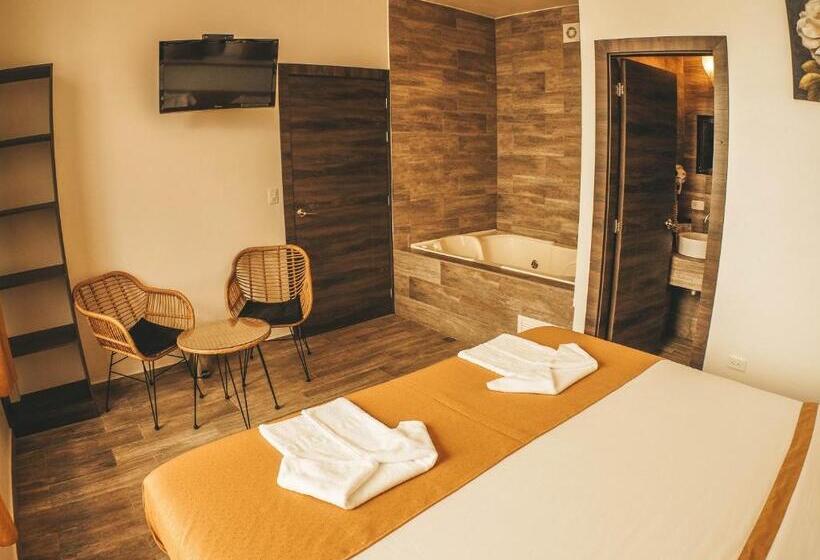 اتاق استاندارد با تخت بزرگ, Toucan Platinum Suites Apart