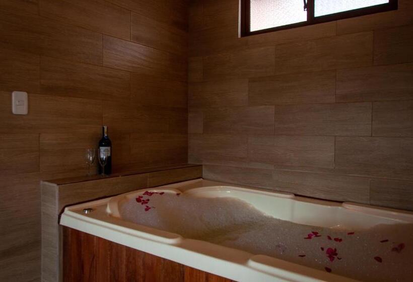 سوئیت با تخت بزرگ, Toucan Platinum Suites Apart