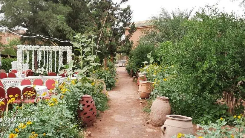 ファミリールーム, Paradise In The Desert Of Morocco
