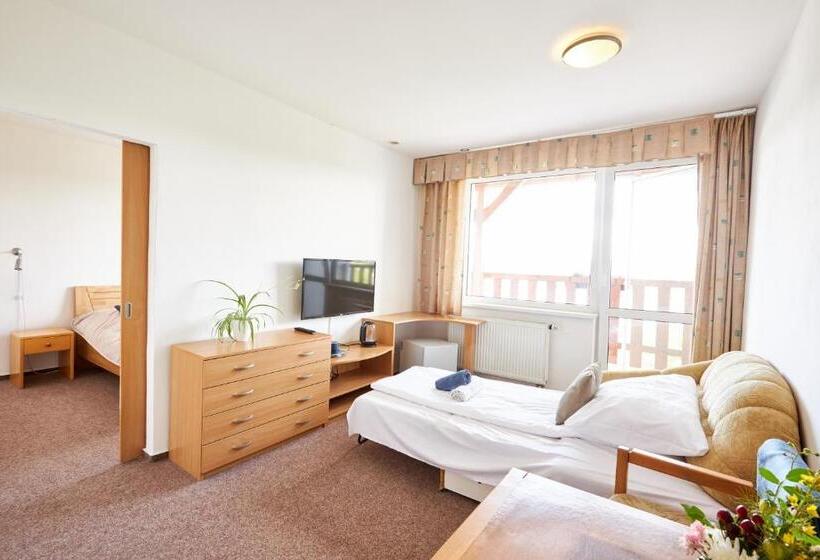 Standard Room with Balcony, Penzion Kozí Horka U Brněnské Přehrady