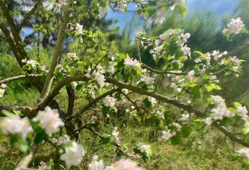 标准间带阳台, Penzion Kozí Horka U Brněnské Přehrady