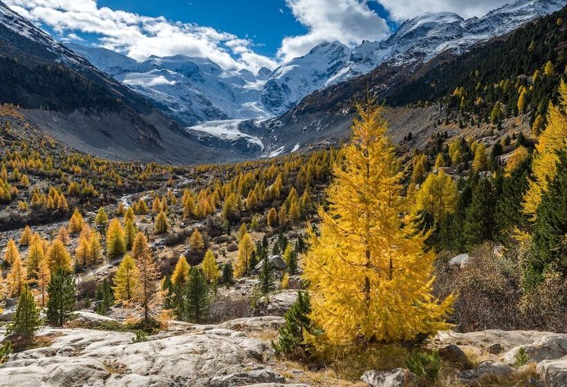 اتاق استاندارد, Morteratsch