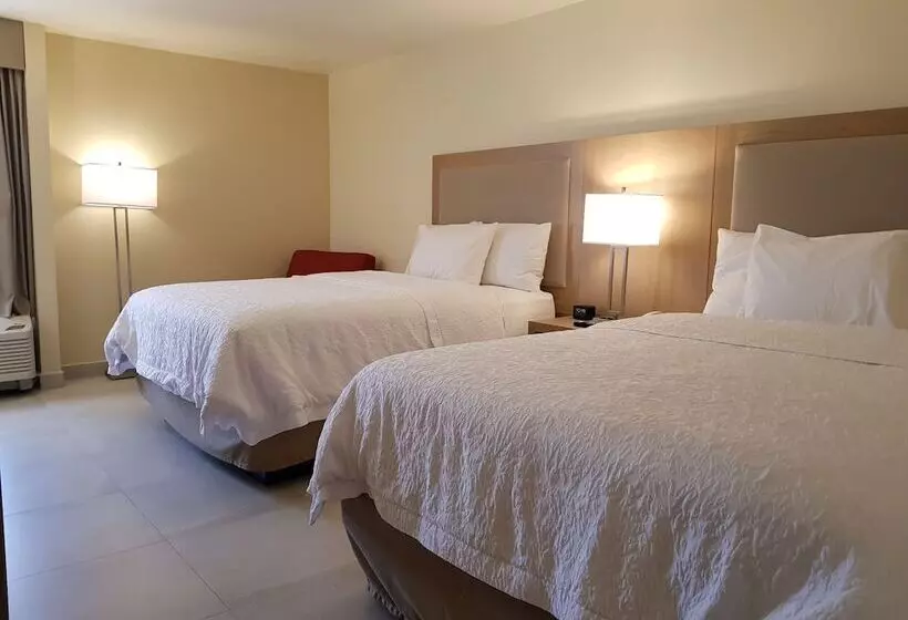اتاق استاندارد با 2 تخت دوبل, Hampton Inn By Hilton Monterrey Airport