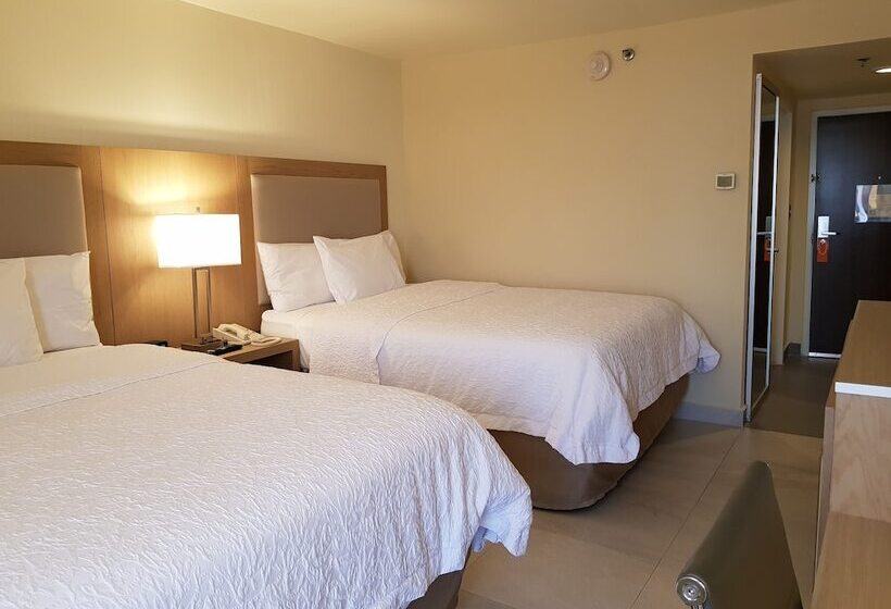 스탠다드 룸 더블 침대 2개, Hampton Inn By Hilton Monterrey Airport