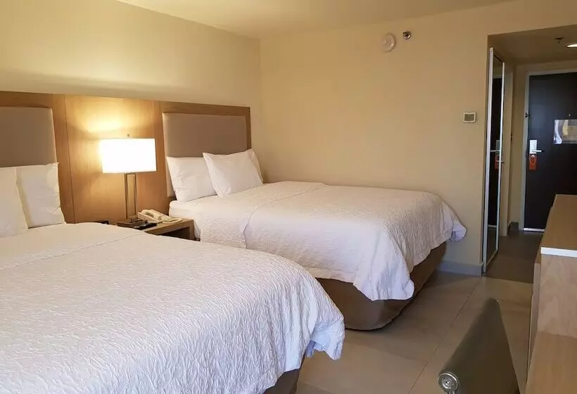 اتاق استاندارد با 2 تخت دوبل, Hampton Inn By Hilton Monterrey Airport