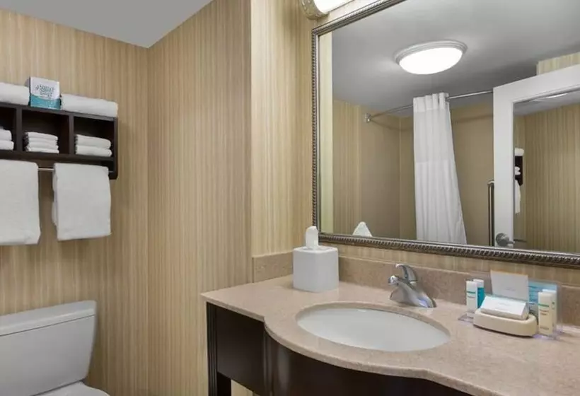 اتاق استاندارد, Hampton Inn & Suites Myrtle Beach/oceanfront
