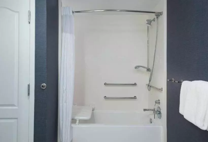 استودیوی استاندارد با چشم‌انداز شهر, Residence Inn Memphis Downtown