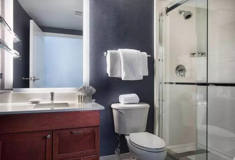 استودیوی استاندارد با چشم‌انداز شهر, Residence Inn Memphis Downtown