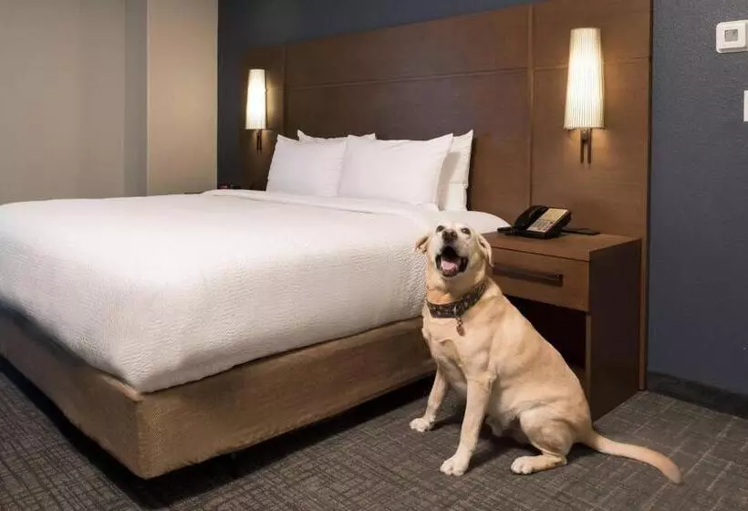 2 Bedrooms Suite 2 Bedrooms River View, Residence Inn Memphis Downtown
