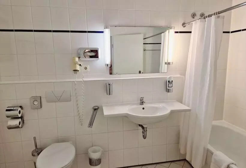 اتاق استاندارد, Trip Inn Hotel Minerva Frankfurt