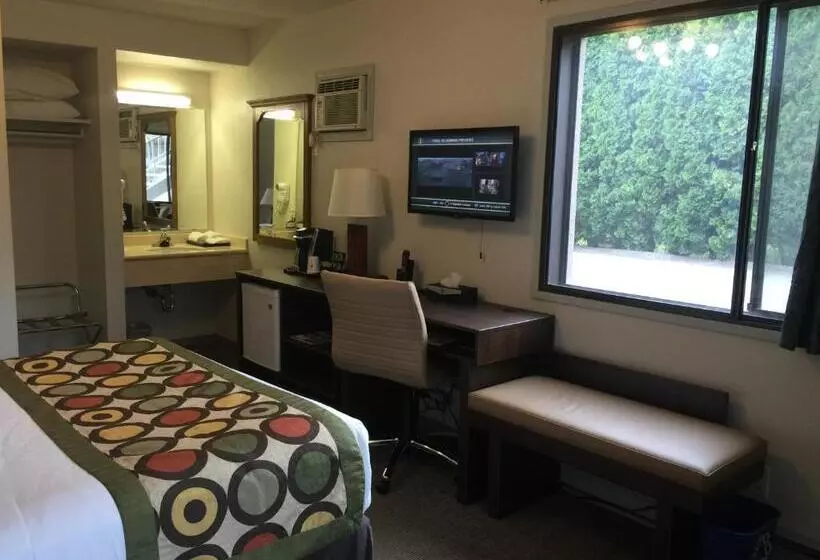 اتاق استاندارد, Super 8 By Wyndham Kelowna Bc