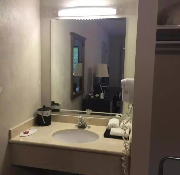 اتاق استاندارد, Super 8 By Wyndham Kelowna Bc