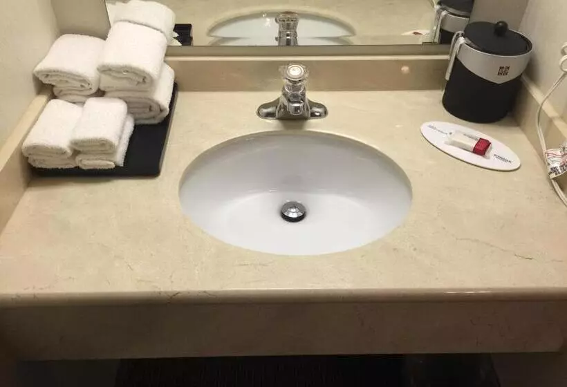 اتاق استاندارد, Super 8 By Wyndham Kelowna Bc