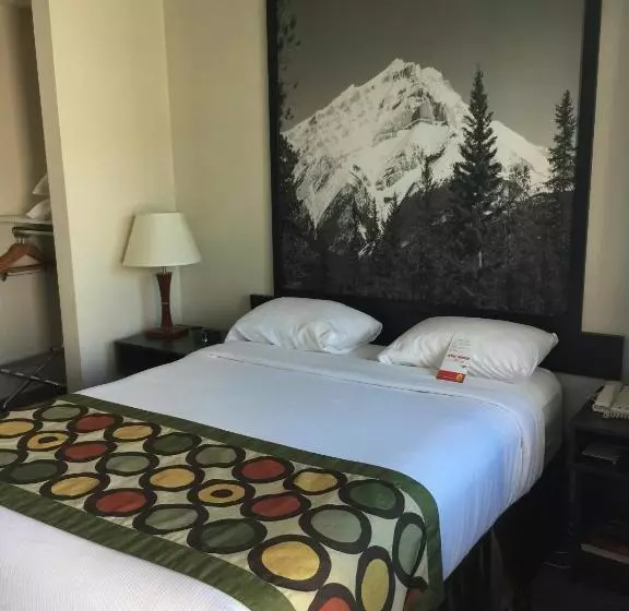 اتاق استاندارد برای معلولان, Super 8 By Wyndham Kelowna Bc